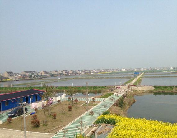 1604111975207198.png 图片4.png