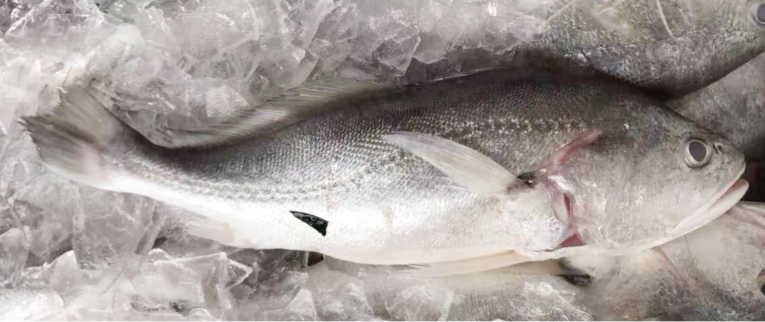 1604112045147198.png 图片5.png